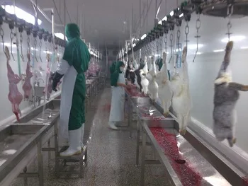 Complete Rabbit Slaughter Equipment Line Rabbit and Poultry Slaughterhouse