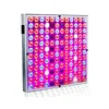 /product-detail/grow-lights-for-indoor-plants-full-spectrum-panel-plant-light-with-ir-uv-leds-for-seedlings-micro-greens-clones-succulents-62414400585.html