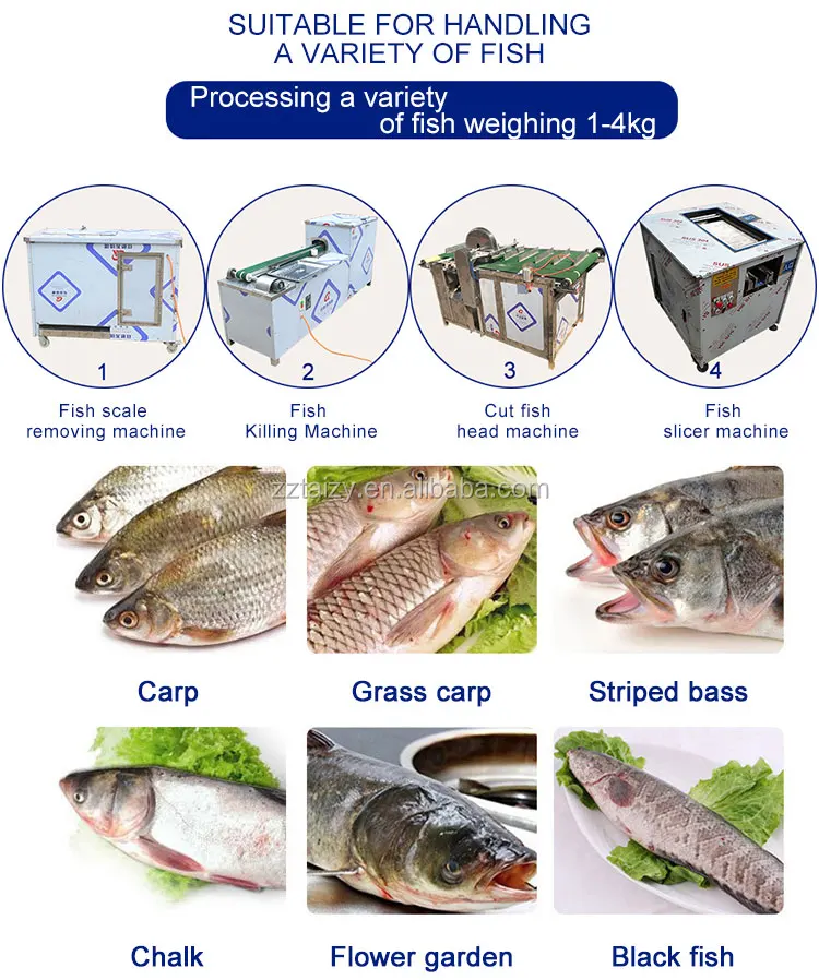 industryprocessingmachinery fish processing plant salmon fish heads cutting machine