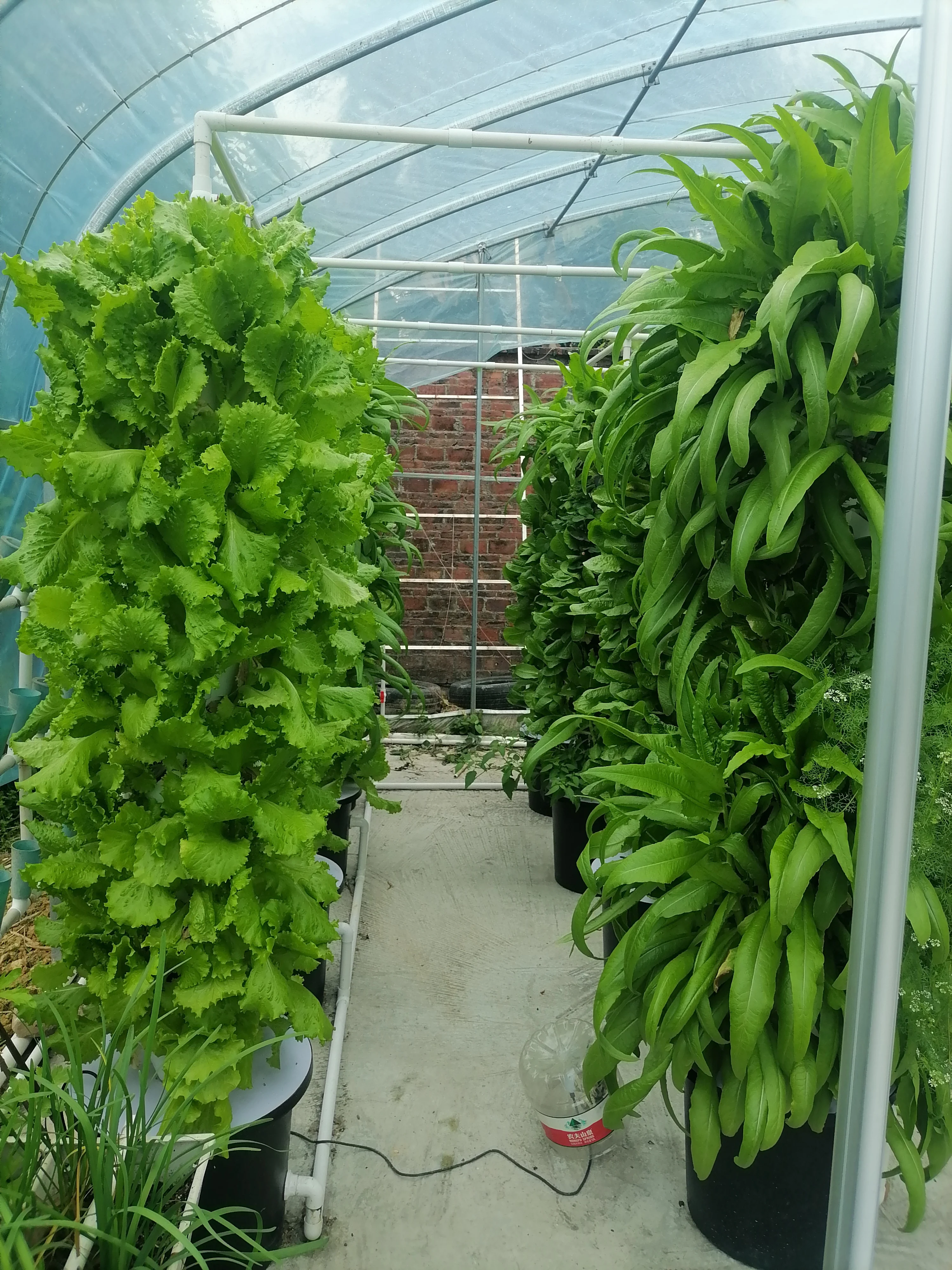 Irrigation Hydroponics Oneone Vertical Hydroponics Farm - Buy ...