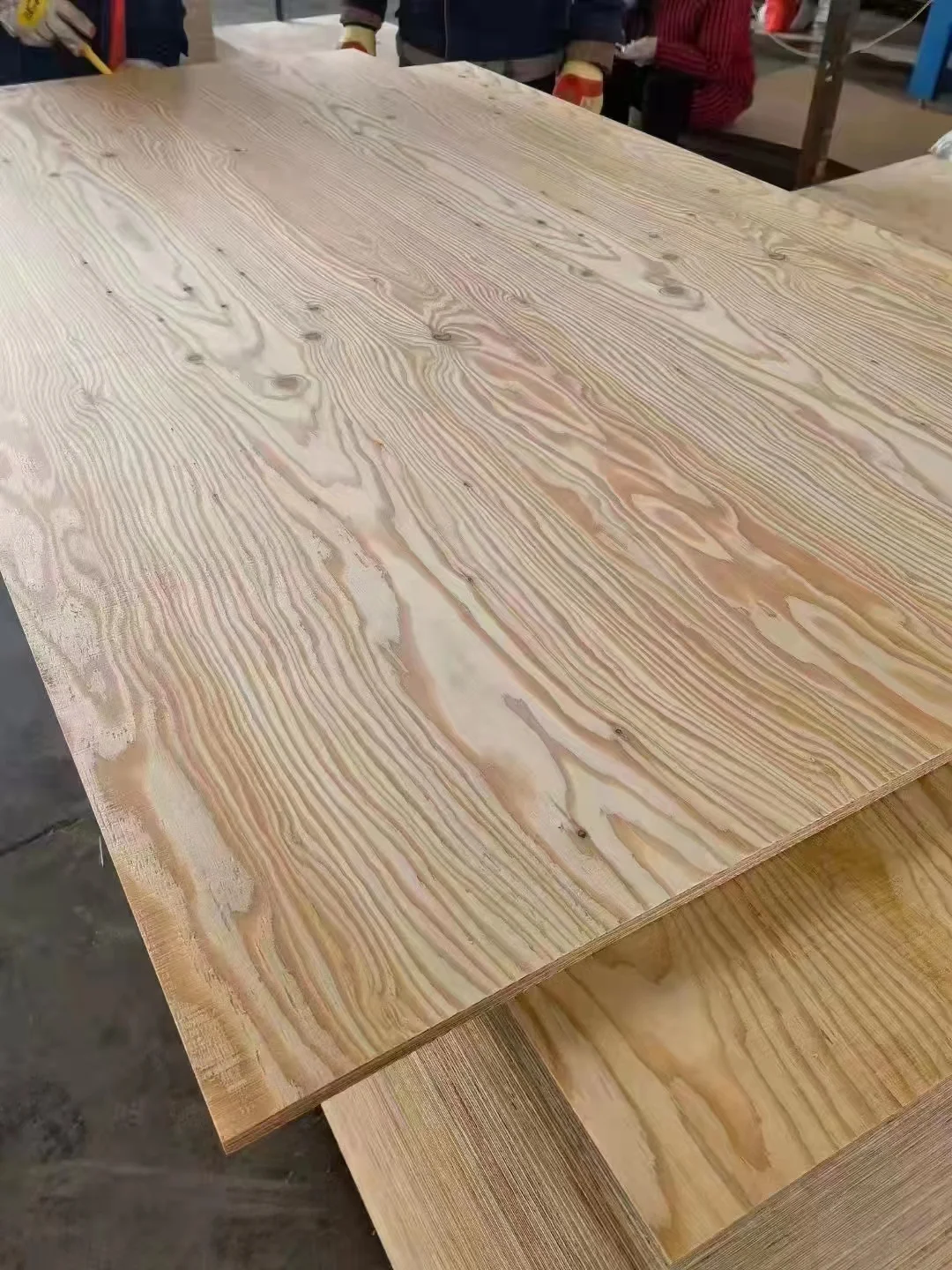 Фанера из лиственницы. Фанера лиственница. Фанера 15 мм лиственница 600х1200 мм сорт 1/3 0. Фанера фсф 2/4. Фанера фсф 21.