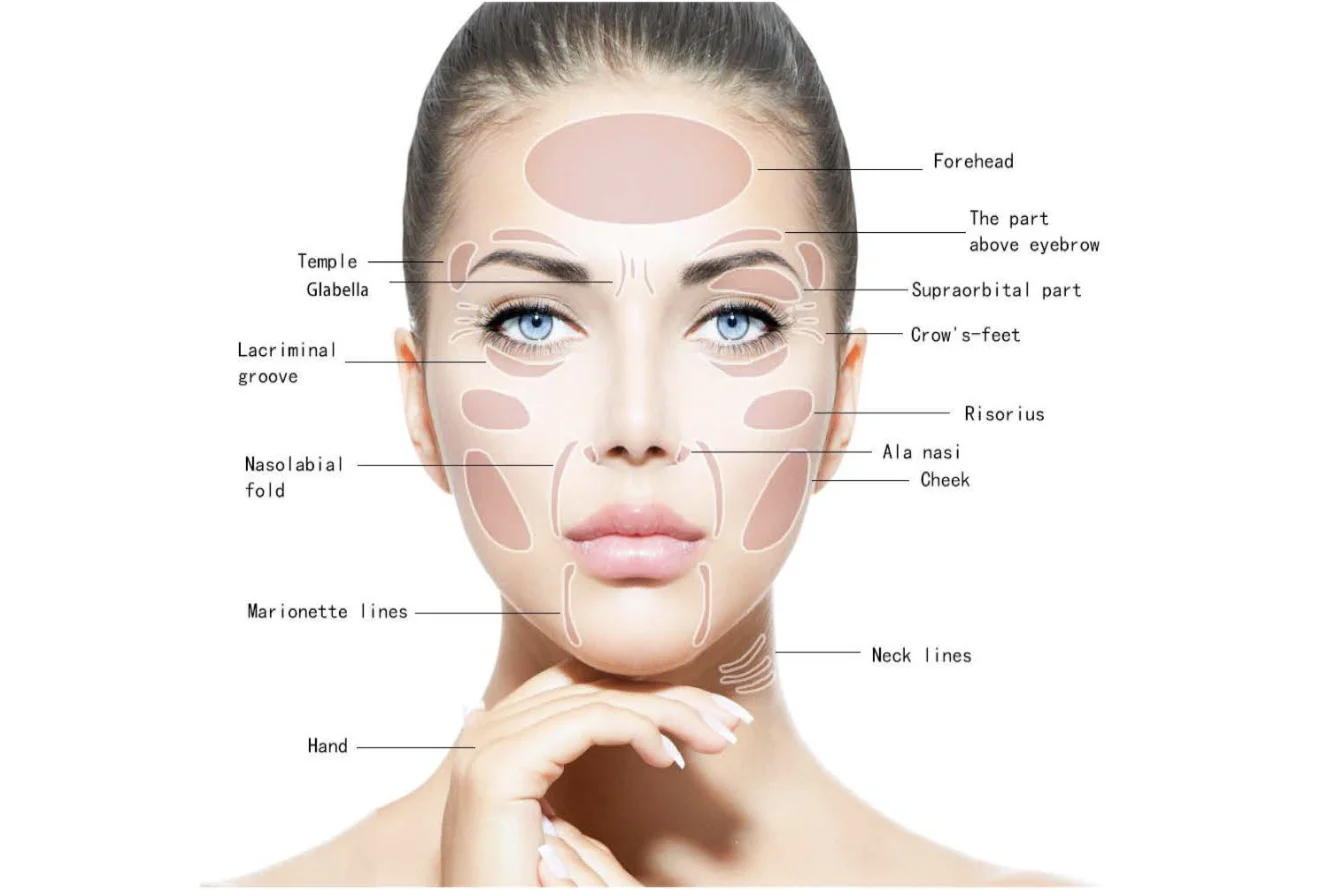 500毫克化妆品抗皱面部年轻化plla真皮粉