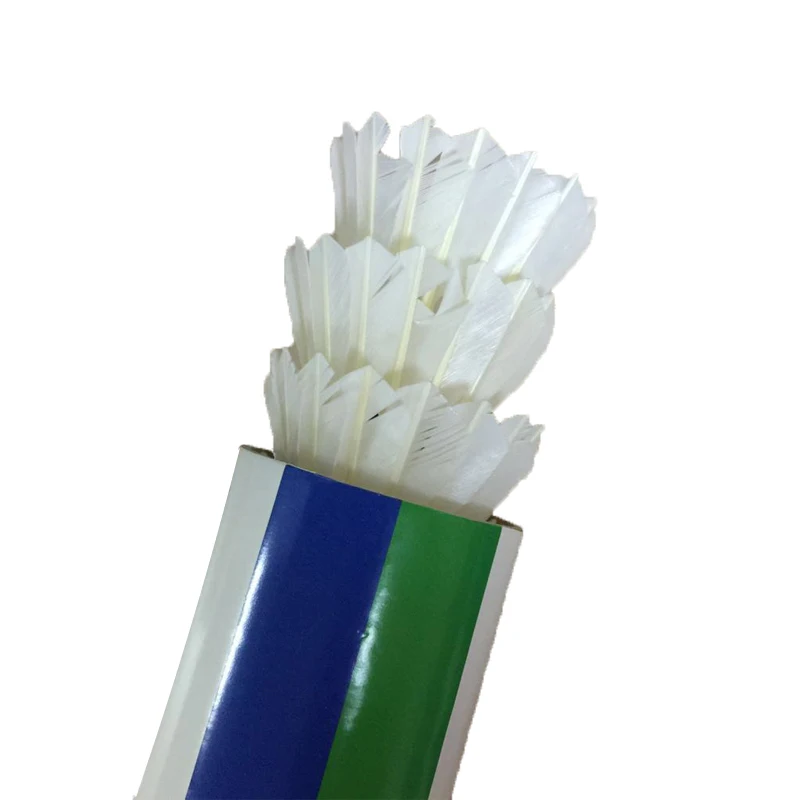 Shuttlecock 05.jpg