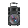 Best amazon seller speaker active portable trolley speaker 12 inch with light