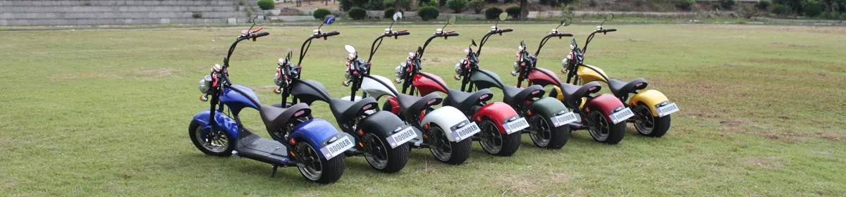Citycoco chile electrico scooter