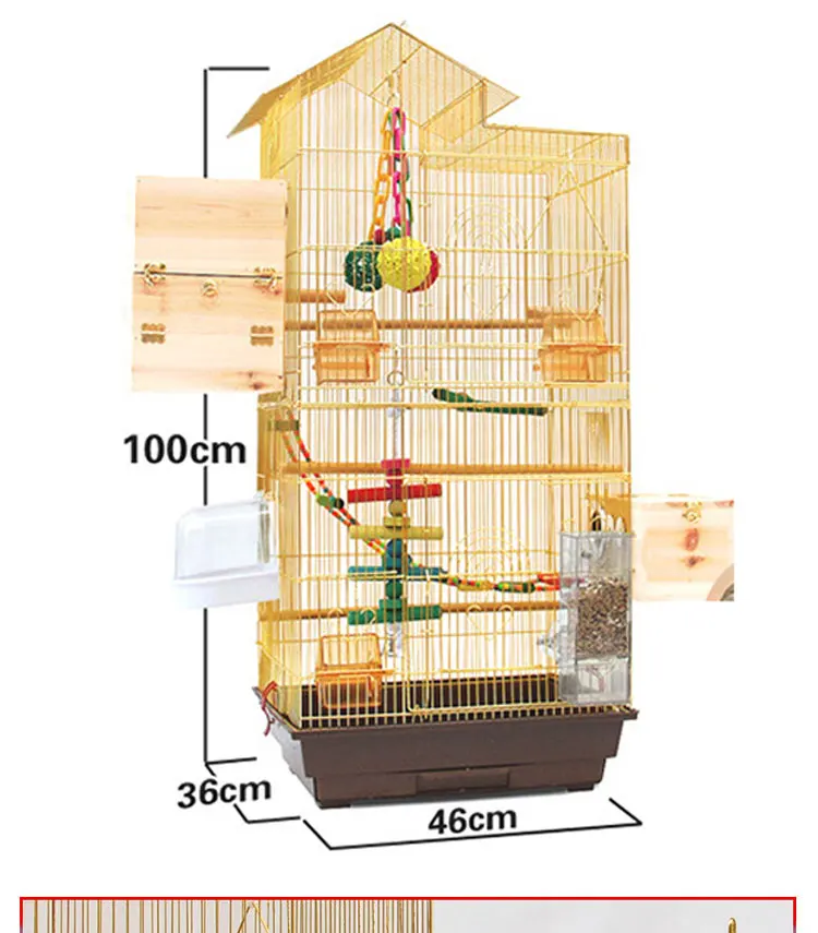 raw parrot breeding cage size