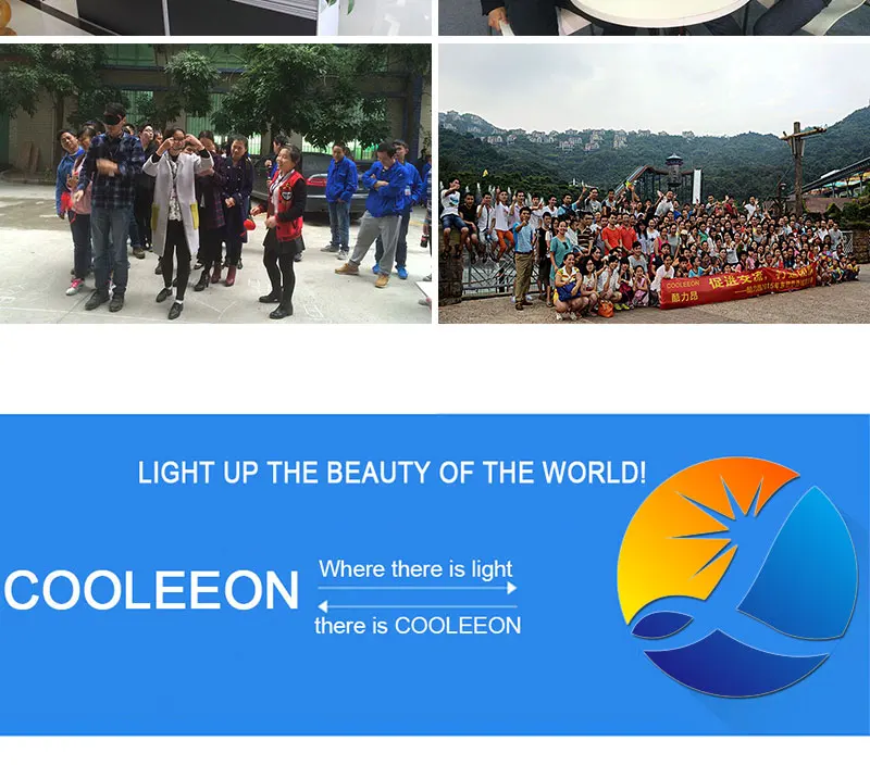 cob led light bulb (5)