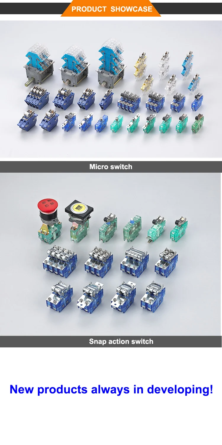 snap action switch .jpg