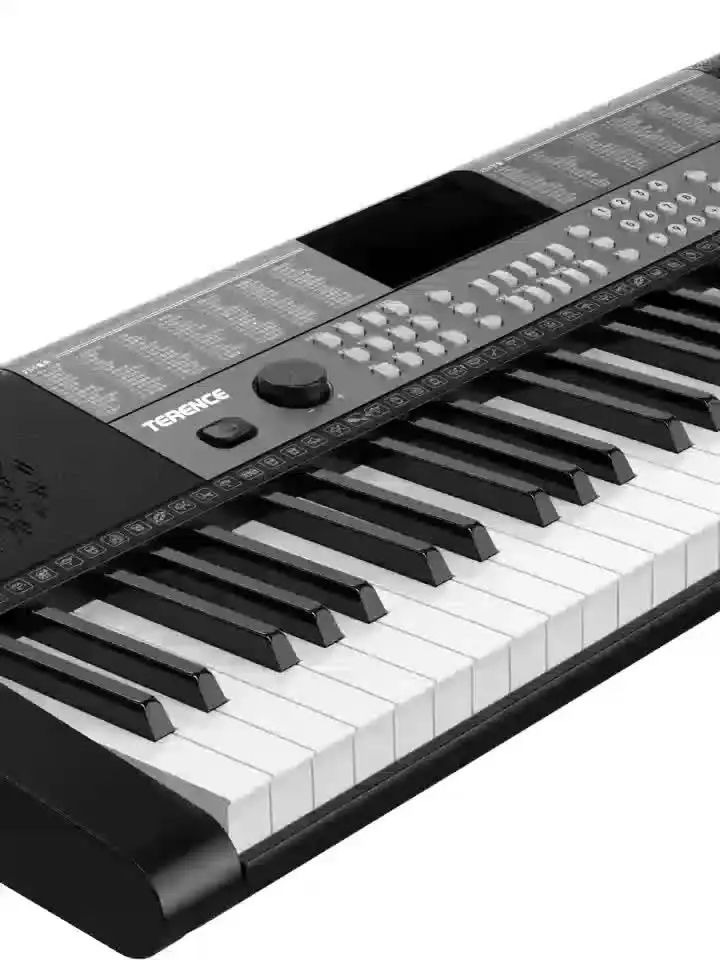 Piano Numérique TERENCE 61 Touches - 255 Sons/rythmes, Double Clavier, Double Haut-parleurs, Portable Sur Batterie - 7