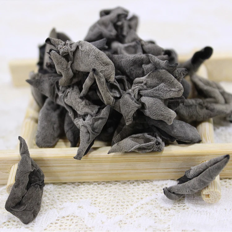 black fungus mushroom agaric