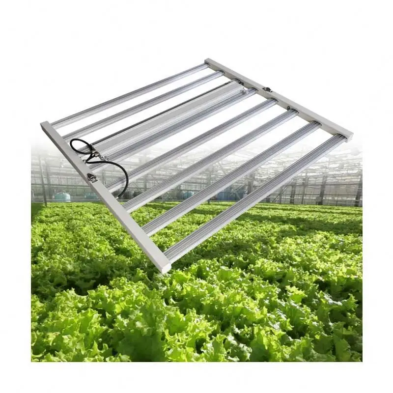 Factory Wholesale Smd Sumsung Cob Led Chip Grow Light