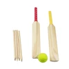 Complete Junior Cricket BAT KIT for Kids Age 8-14 Years BAT + WICKETS