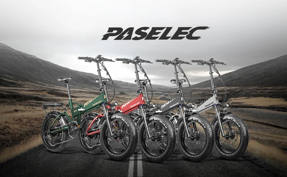 paselec x6