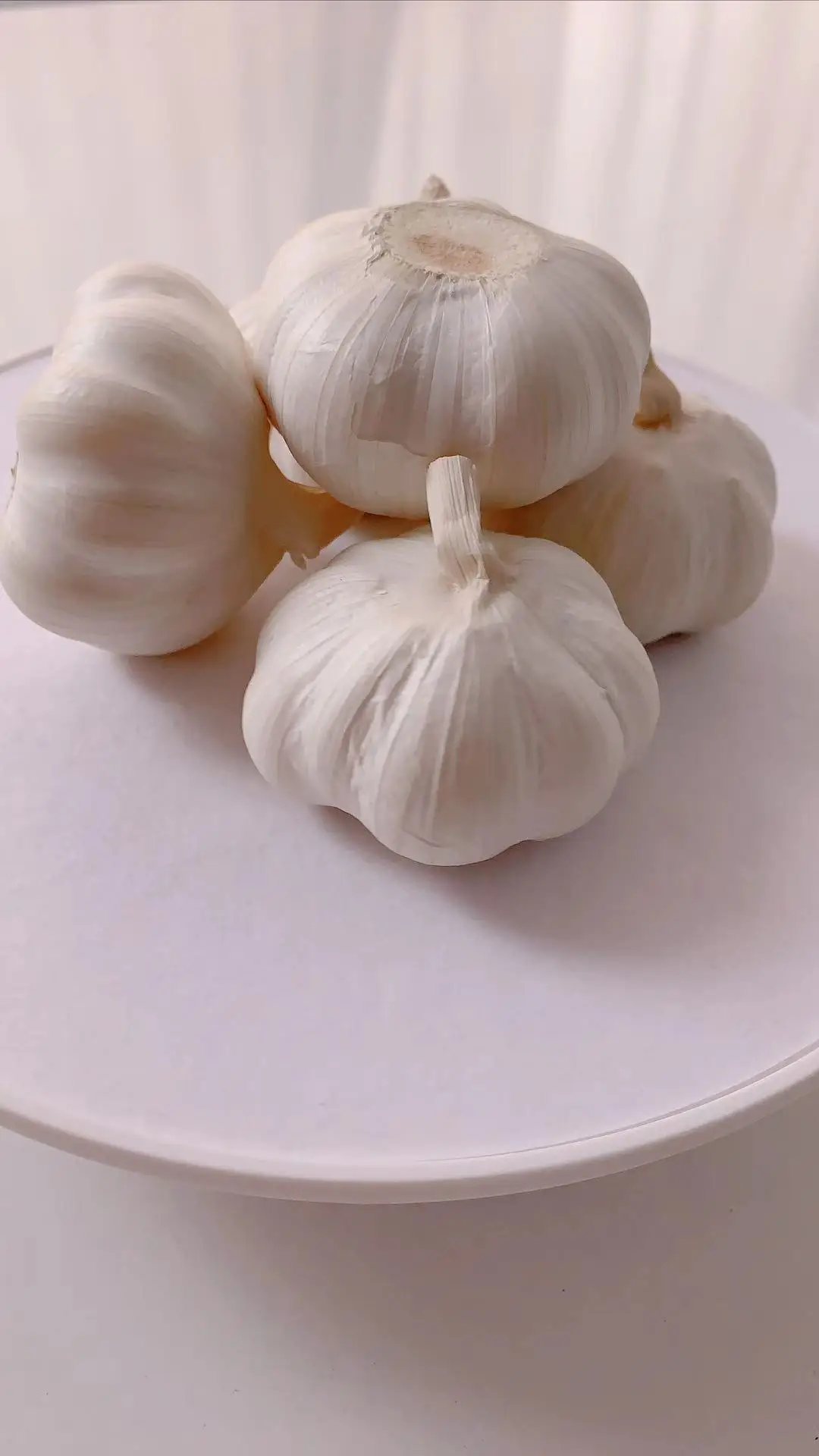 2021新作物新鲜白大蒜价格专业进口商