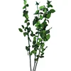 Grade A best quality Natural 70cm Length preserved rose stem for making preserved glass dome rose