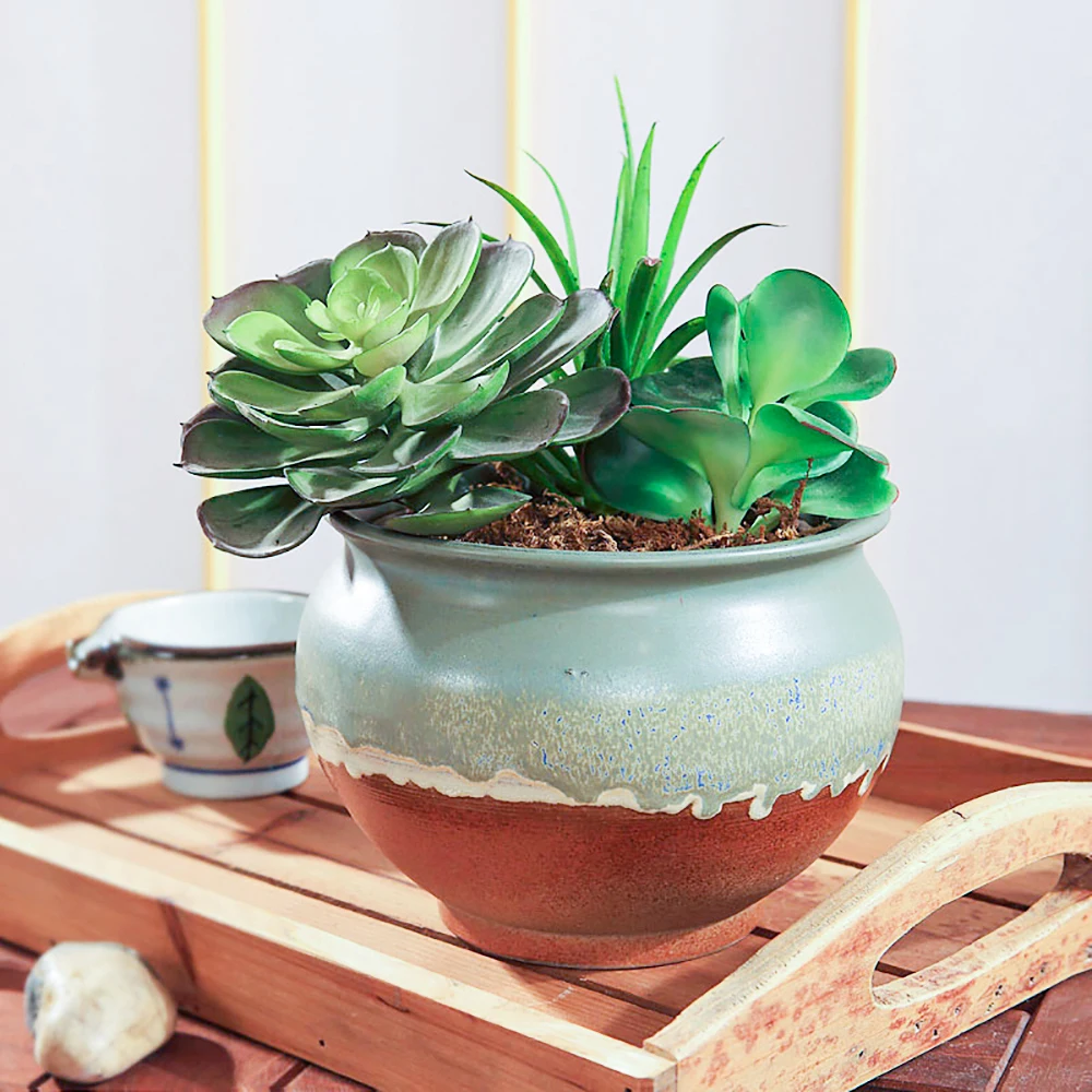 Wholesale Artificial Succulent Plants Plastic Material Succulent For