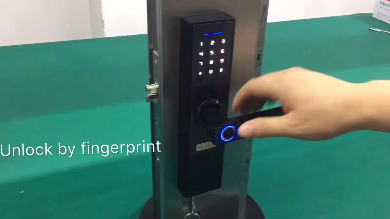 Factory Price Wifi Smart Lock Fingerprint Password Code Card Tuya ...