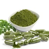 Natural Moringa leaf extract powder spray dried Moringa leaf concentrate powder