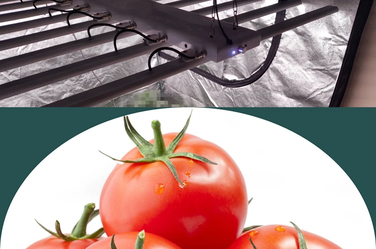 ORiGULM PWM Dimming 365W Full Spectrum Fluence LED Plant Grow Light Samsung LM301B 660nm 730nm Horticulture Microgreens Canopy - ANKUX.COM