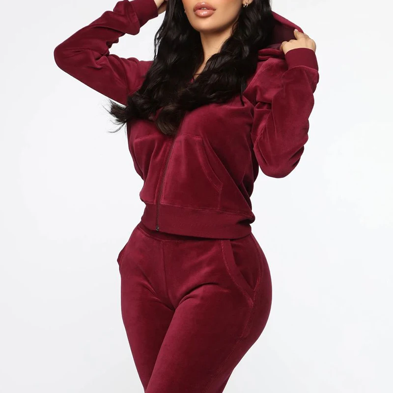 2020 New Fashion Velvet Sweatsuit Winter Two Piece Set Women Velour ...