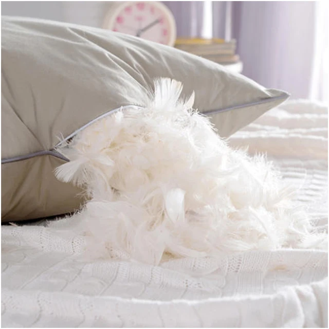 Natural 24 Cm Washed White Duck Feather Filling Materials Feather For