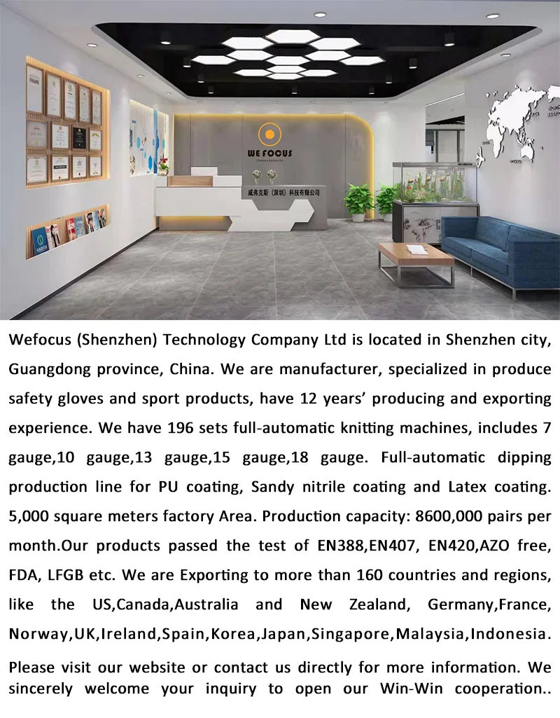 Wefocus-PNG