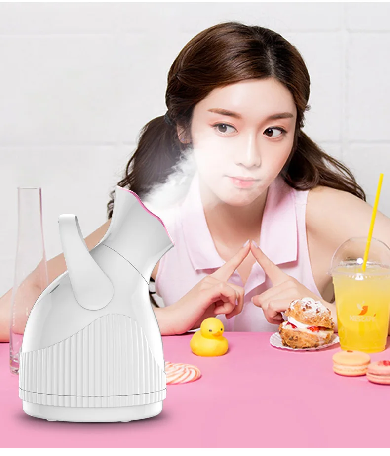Facial steamer