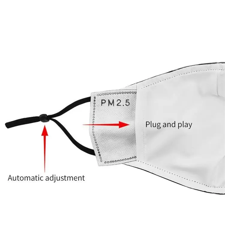 mask introduction