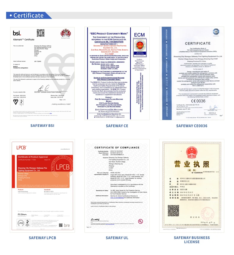 China 2L/3L/6L Class k Wet Chemical Store Pressure Fire Extinguisher with BSI EN certificate