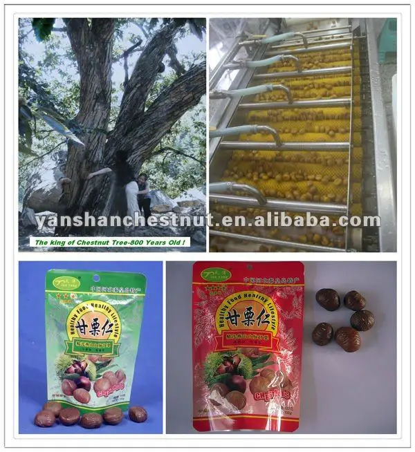 organic chestnut snack.jpg