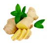 Wholesale Price Instant Mint Ginger Drink / Instant Honeyed Ginger Tea Mint 20 Sachets