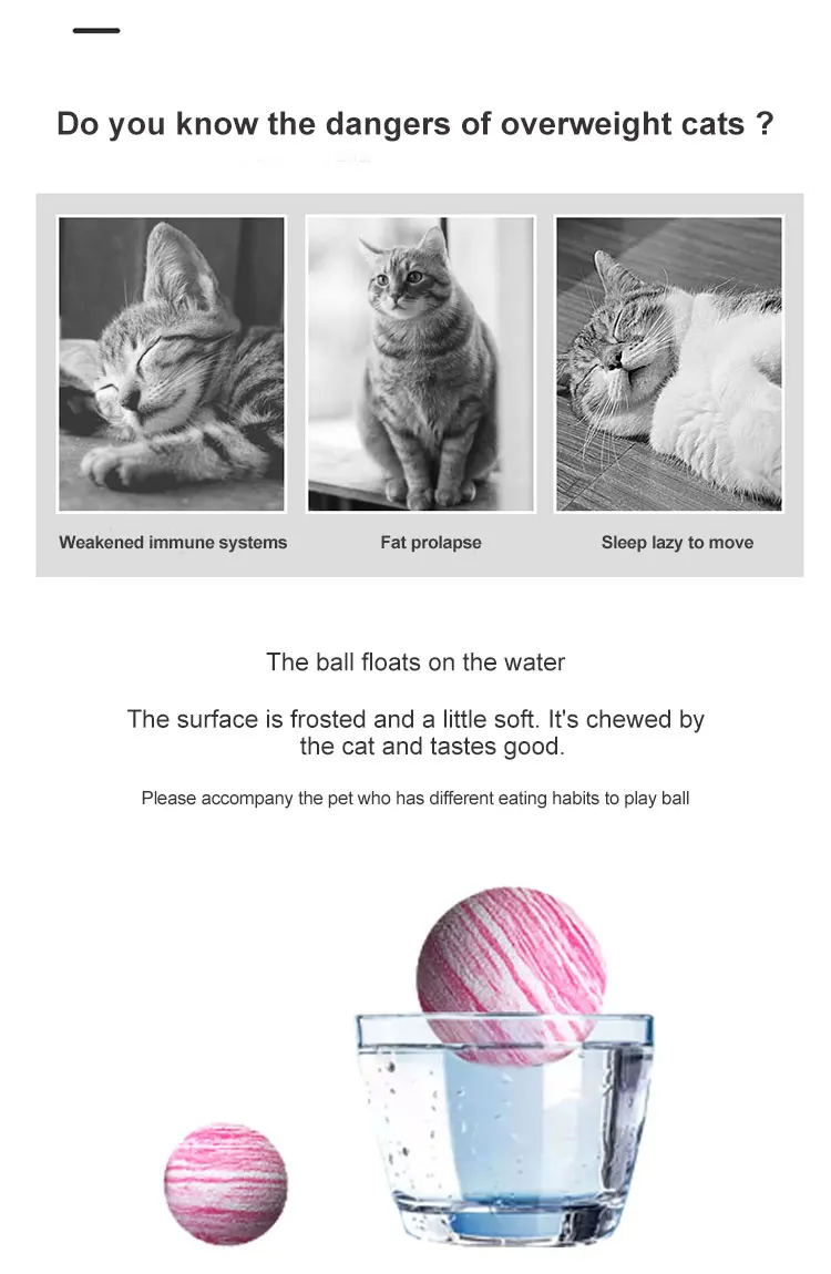 cat-ball--_08.jpg