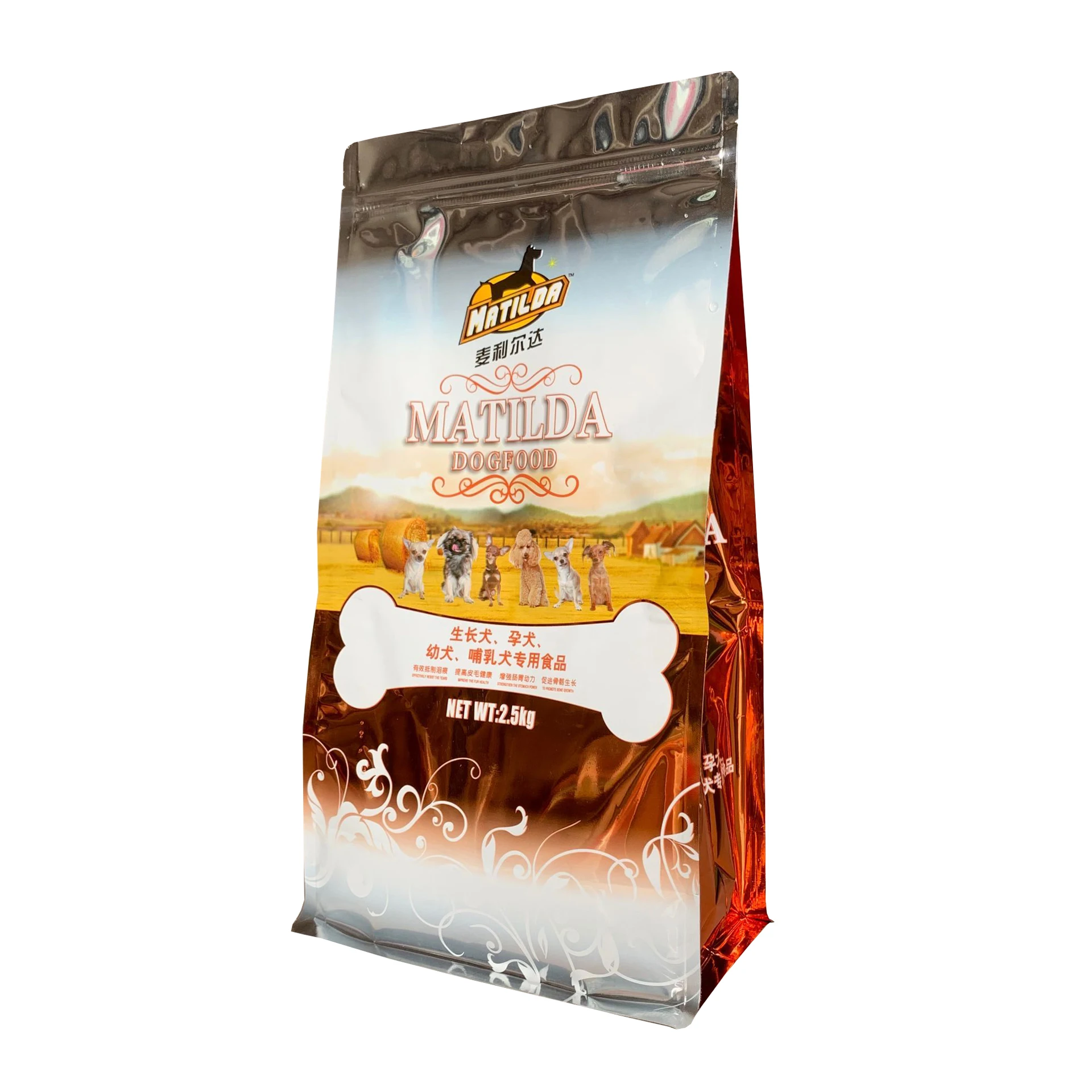 Chinese Packaging Bag Supplier Raisins Dried Fruit Zipper Bottom Plastic Bag For Snacks