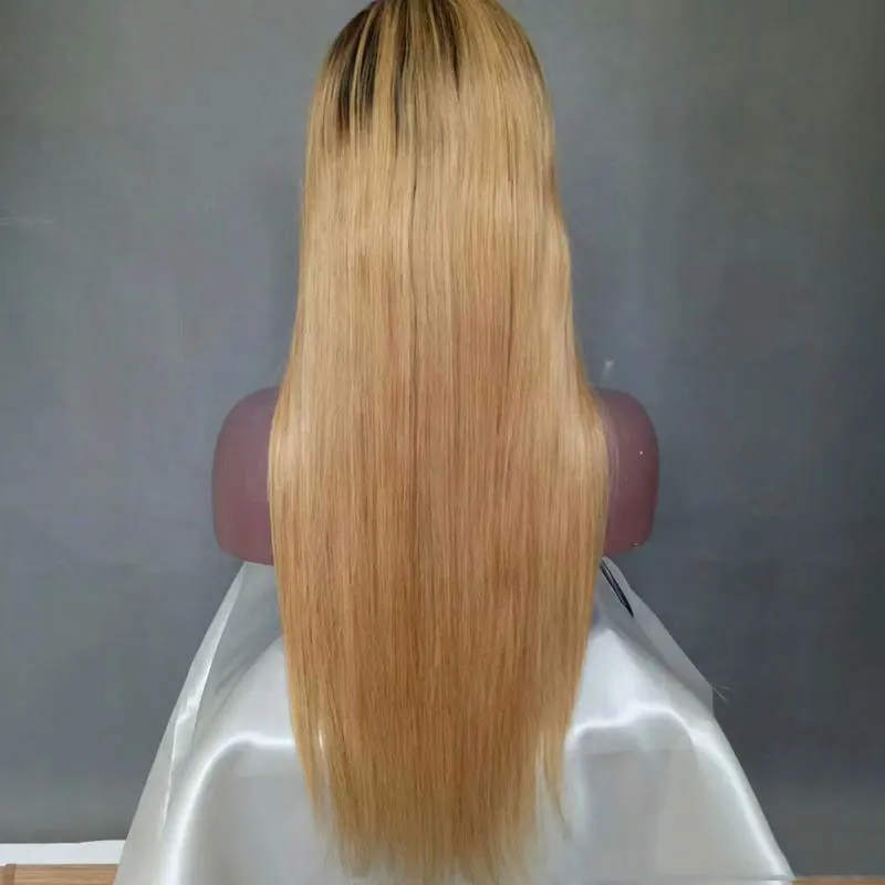 100% virgin remy brazilian 10-26inch straight 1b 27 ombre human hair wigs for black women lace front