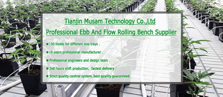 ABS material ebb and flow  moveable trays use for seed culture