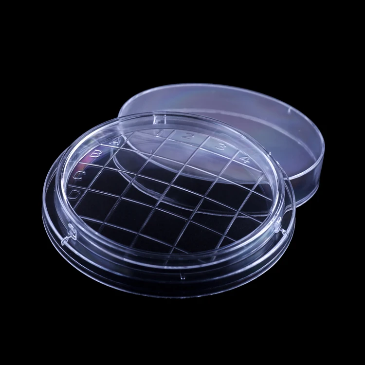 150-91-Petri-dish.jpg