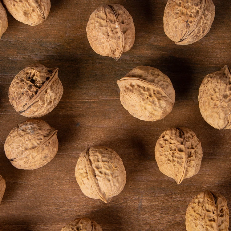 direct supply high quality thin skin and thick meat dried nuts