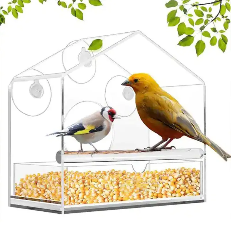 Wholesale Oem Clear Acrylic Window Bird Feeder Hanging Indoor Bird