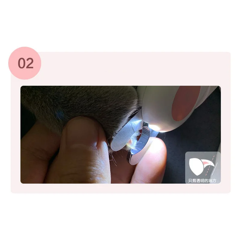 GL-005 (6).jpg
