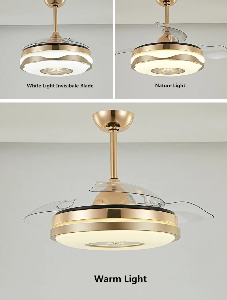 Fan Light (6).jpg
