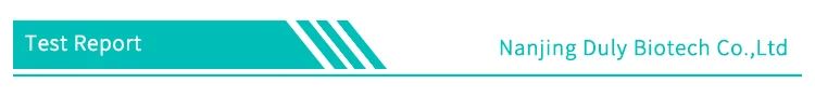 Test Report