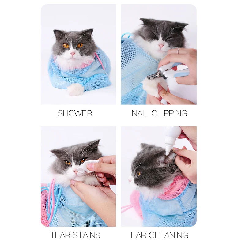 cat7.jpg