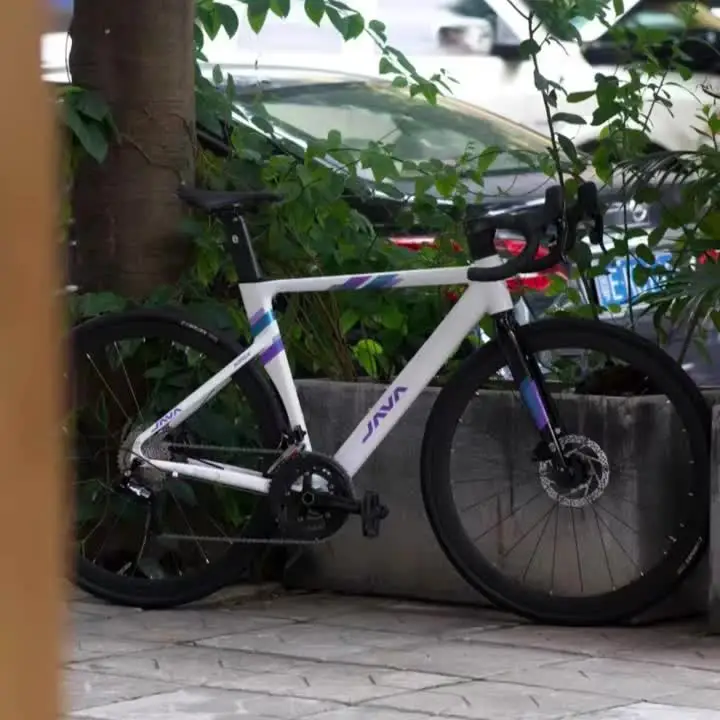 2025 Java AURIGA Road Bike - Lightweight & Versatile Racing Bike