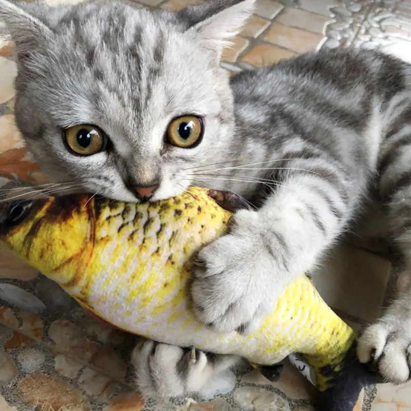 New Design Cute Custom Stuffed Ginger Scallion Fish Toy For Cat