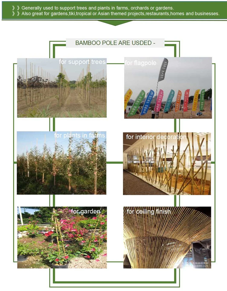 bamboo pole use750.jpg
