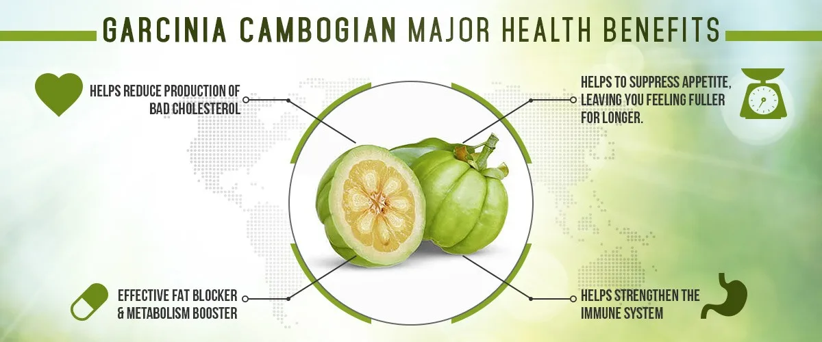 garcinia cambogia 3.jpg
