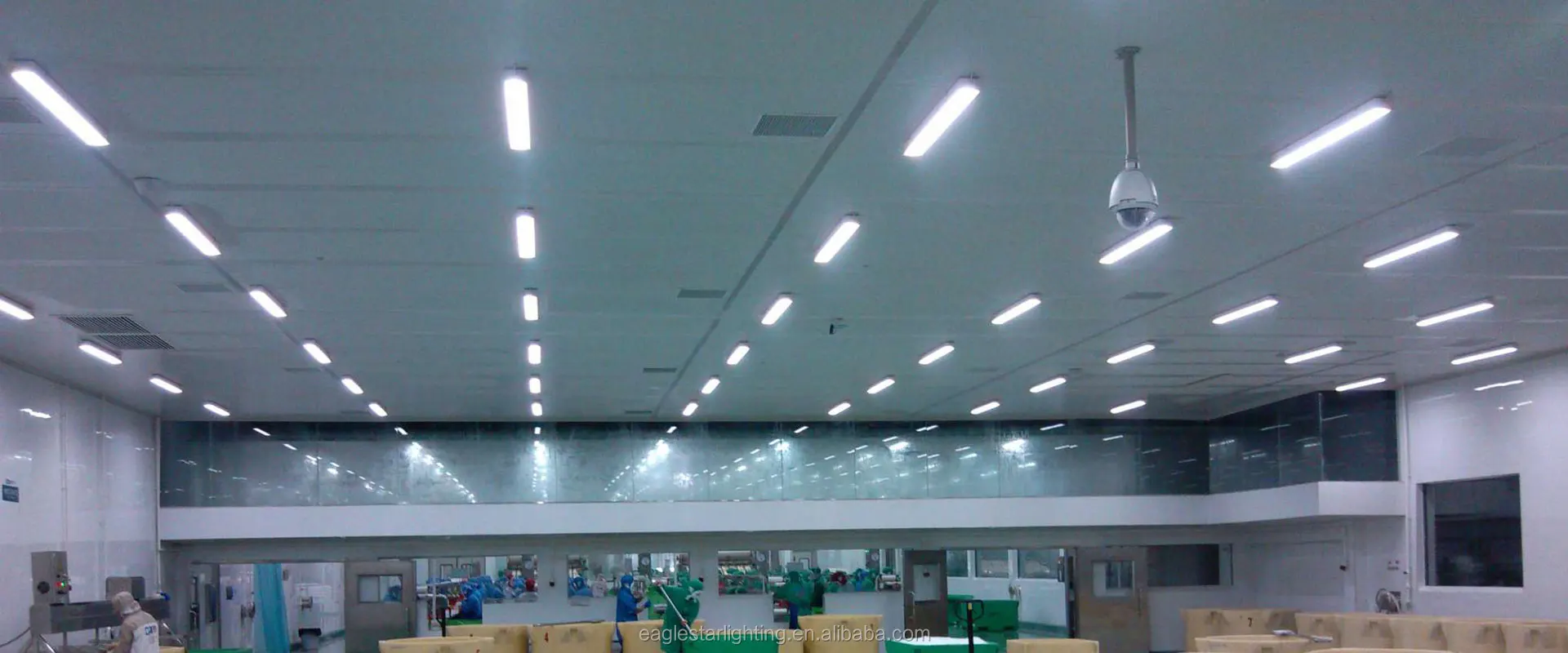 ESL VT Application-1