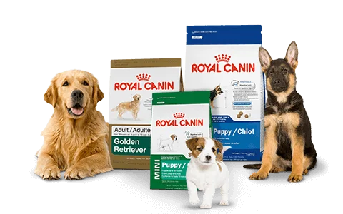 royal canin pet food