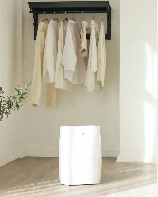 Air Closet Room Dehumidifier, 18L, Portable - detail 6