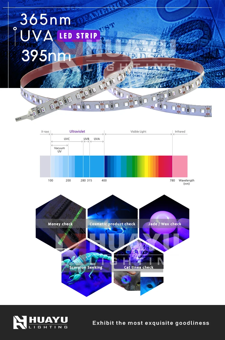 UV LED Strip(1).jpg